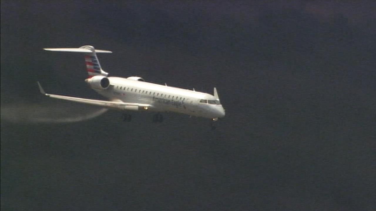 Plane Hits Deer 44 Passengers Evacuated After Emergency Landing in