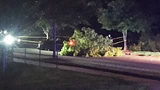 CMPD: Thief steals car left running in driveway, crashes into tree